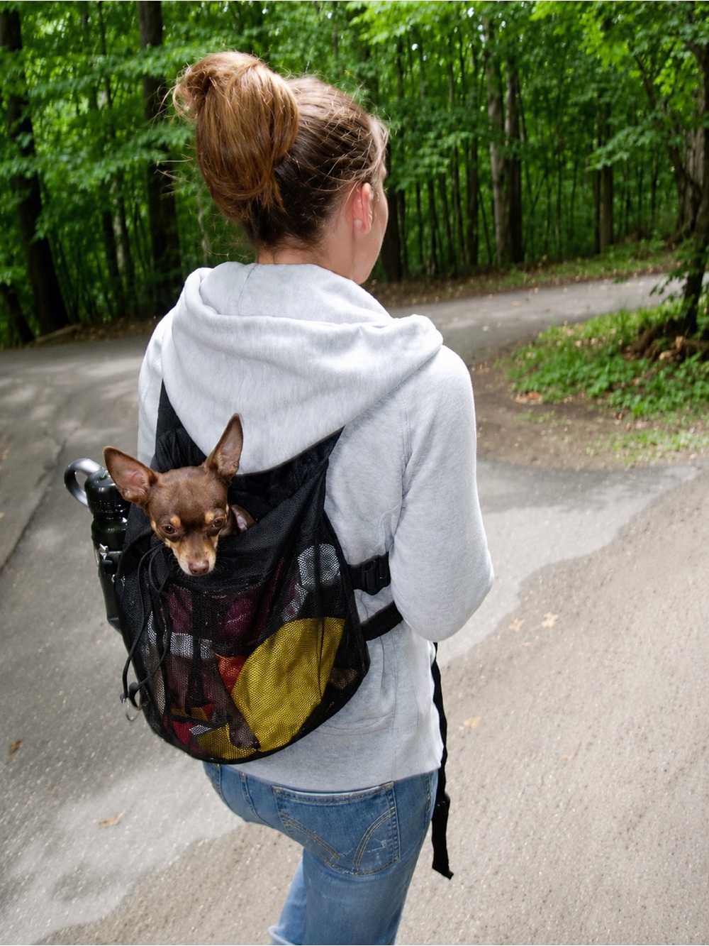 Pet Backpack Carrier – Small Dog/Cat Travel Backpack 🐾